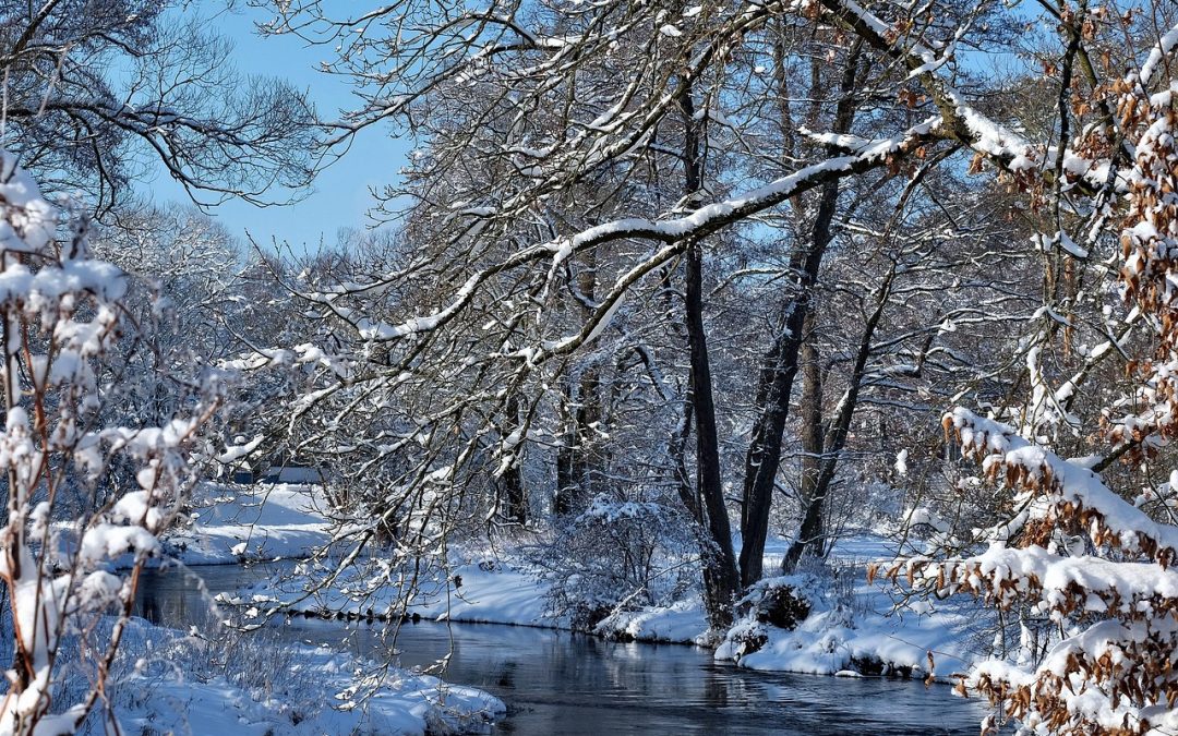 Télen súlyosbodnak a krónikus bőrbetegségek tünetei